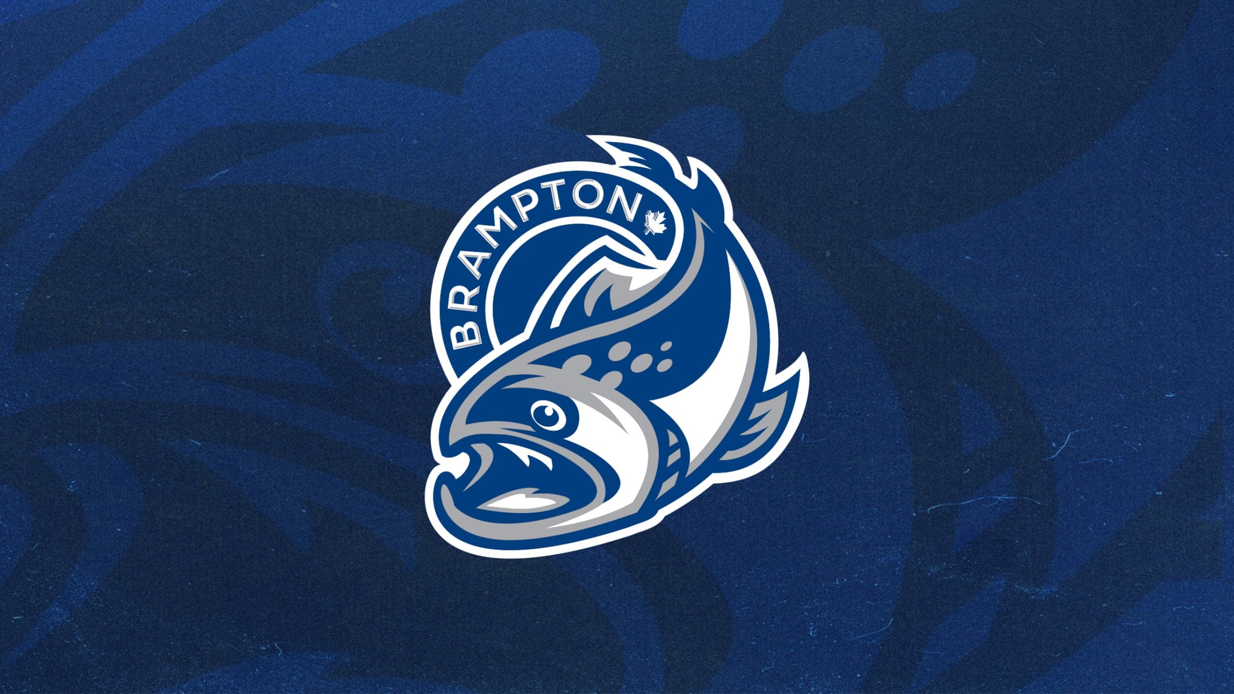 Brampton Steelheads vs. Sudbury Wolves