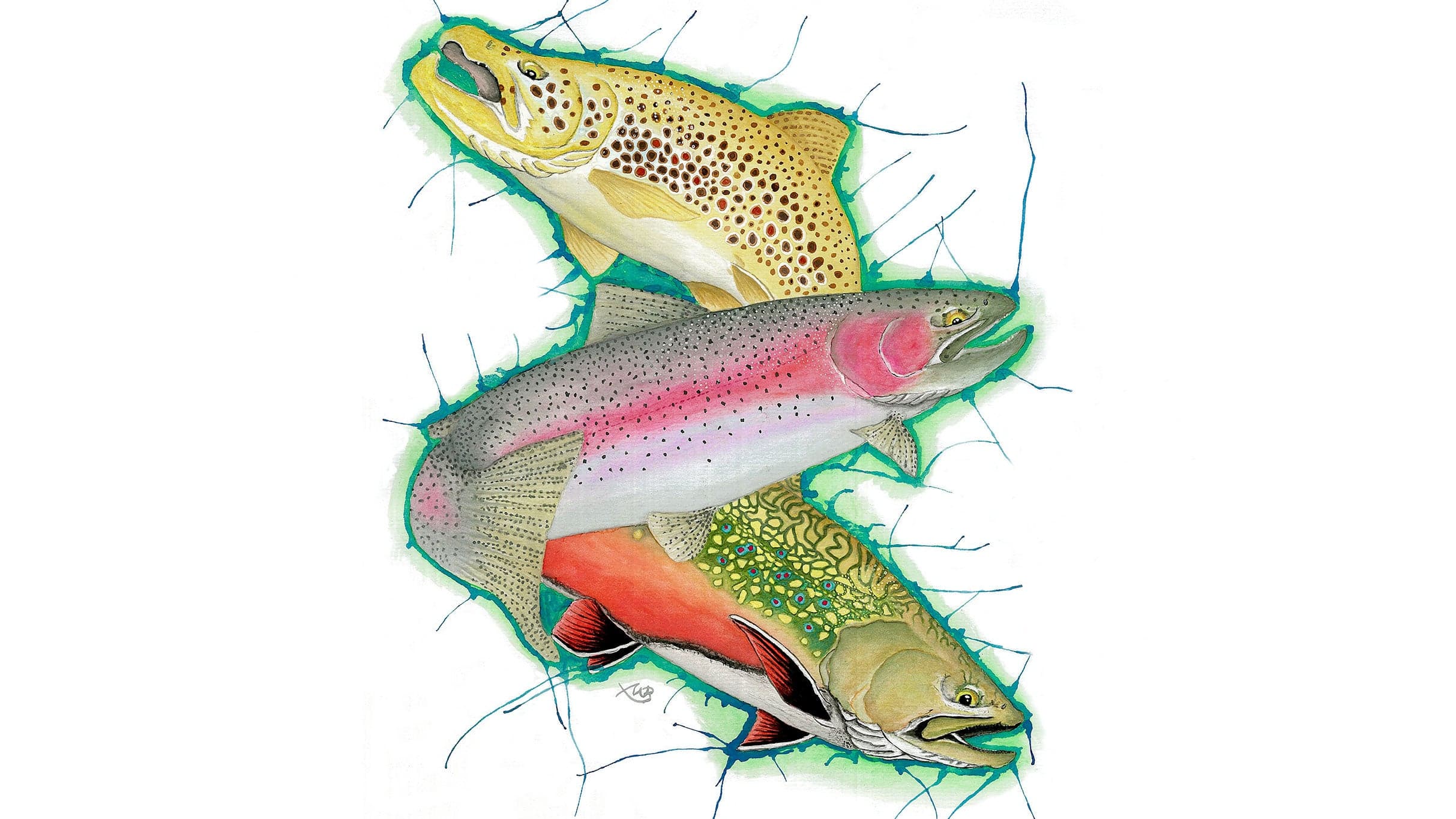 Fly Fishing Film Festival