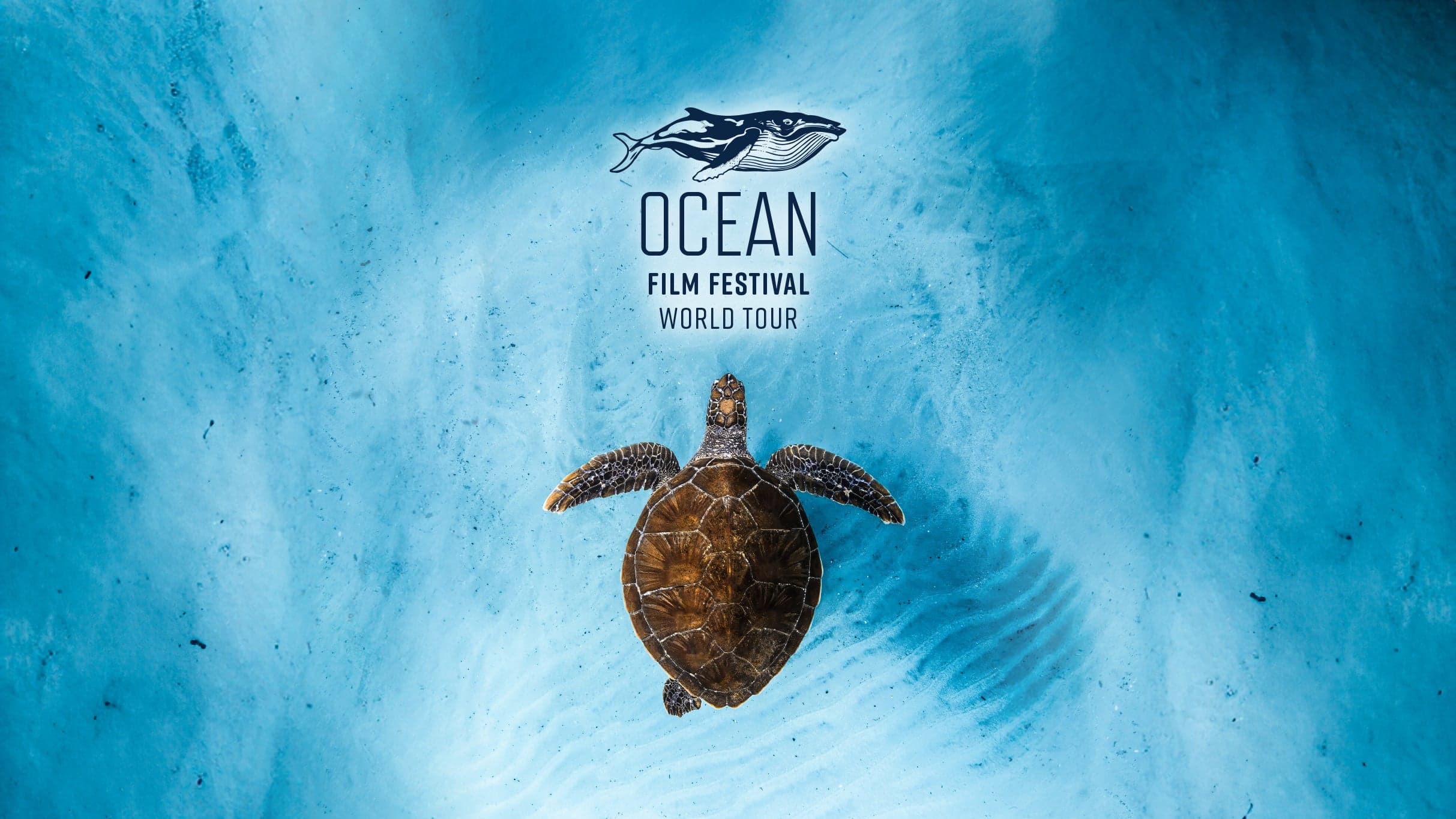 Ocean Film Festival World Tour 2026