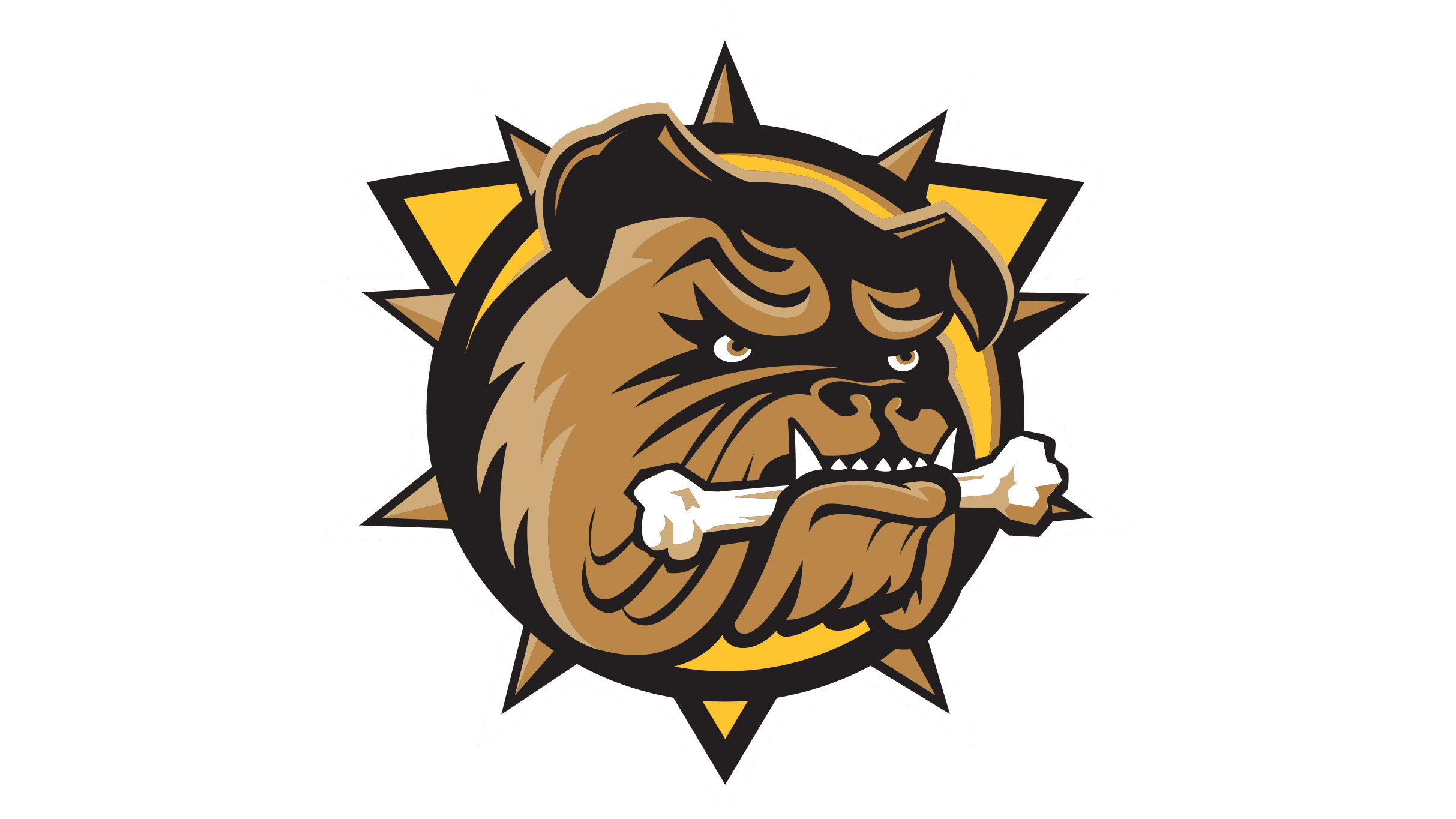 Brantford Bulldogs vs. Niagara IceDogs